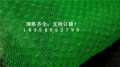 新聞 哈密em4三維植被網供應商 股份  歡迎您